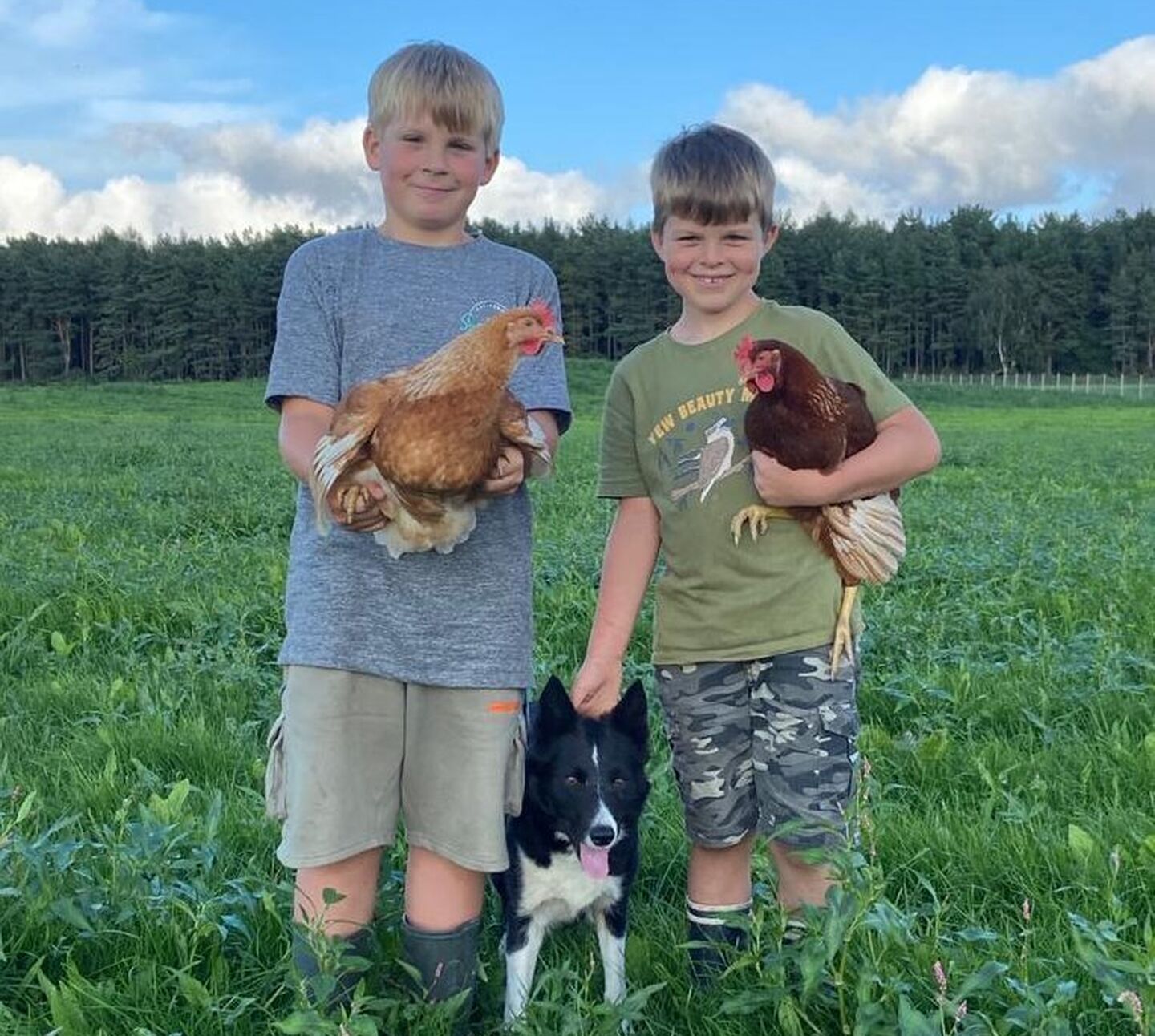 Auchenhalrig - Neil Wright's boys with hens
