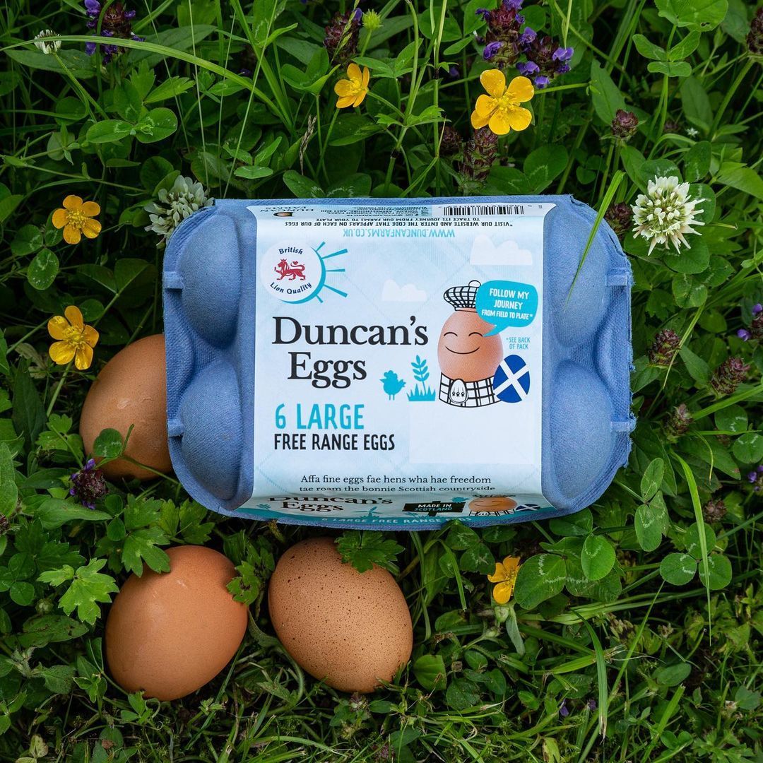 Egg code. Egg code